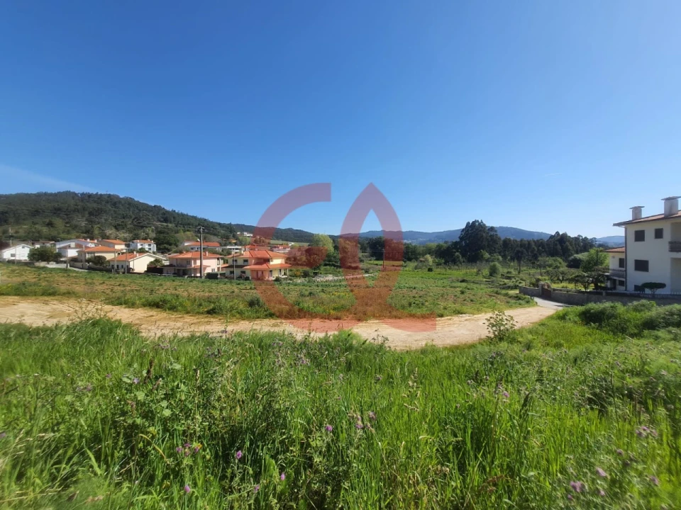Terreno para Venda em Vila de Punhe Foto 8