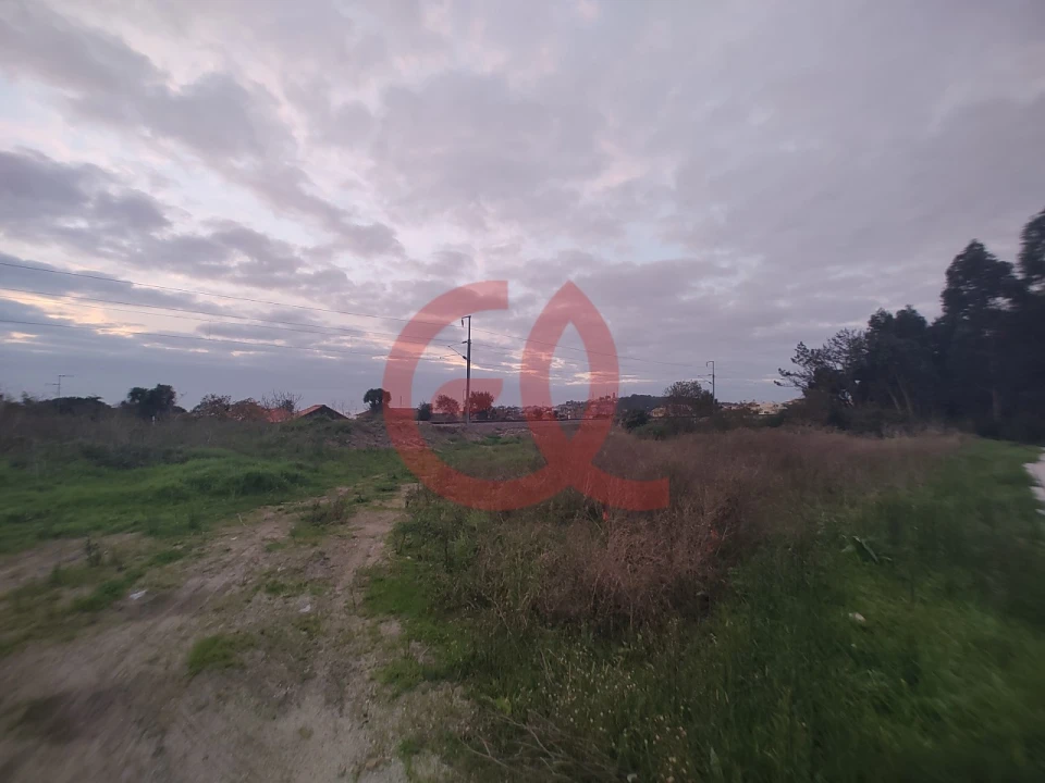 Terreno para Venda em Carreço Foto 4