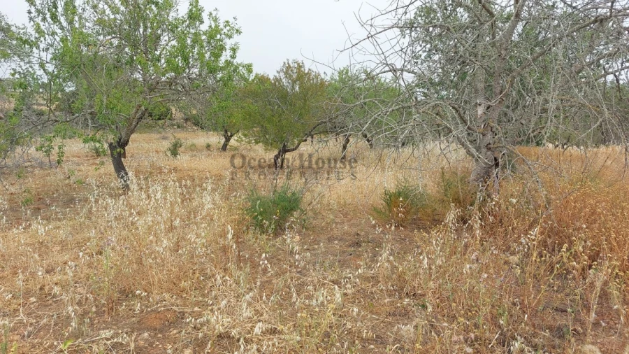 Terreno para Venda em Albufeira e Olhos de Água Foto 8