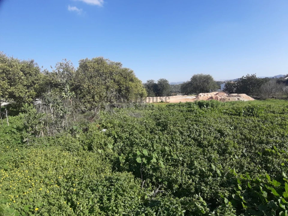 Terreno para Venda em Boliqueime Foto 5