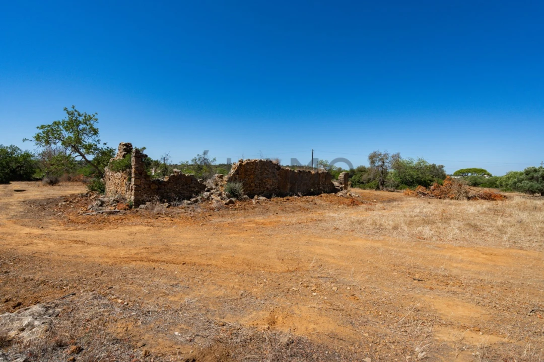 Terreno para Venda em Conceição e Estoi Foto 3
