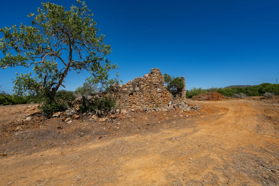 Terreno para Venda em Conceição e Estoi Foto 5