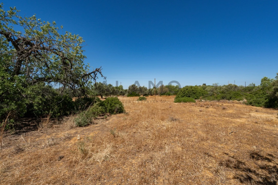 Terreno para Venda em Conceição e Estoi Foto 7