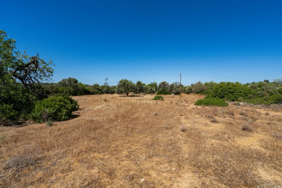 Terreno para Venda em Conceição e Estoi Foto 8