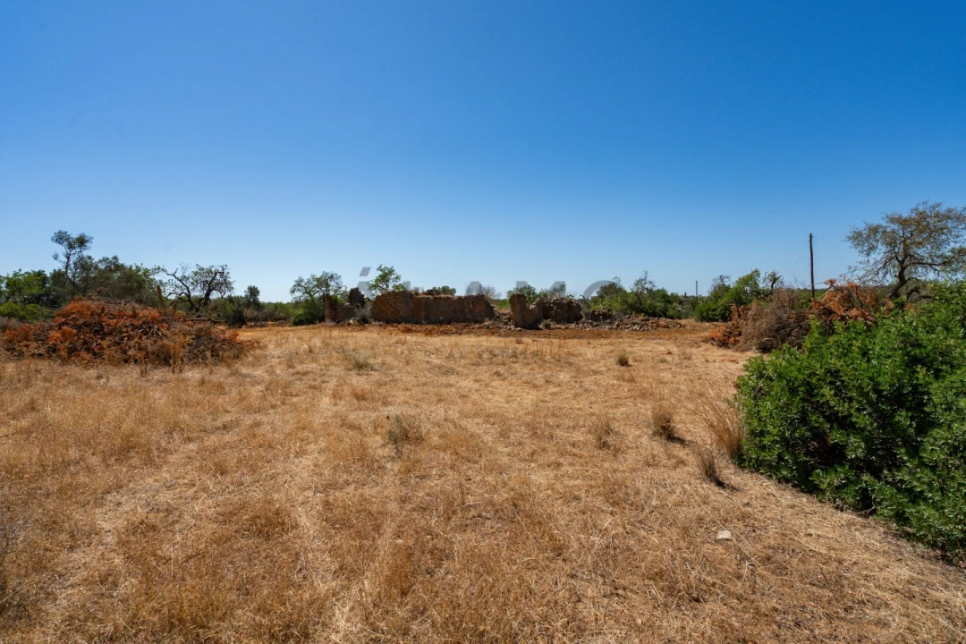 Terreno para Venda em Conceição e Estoi Foto 9