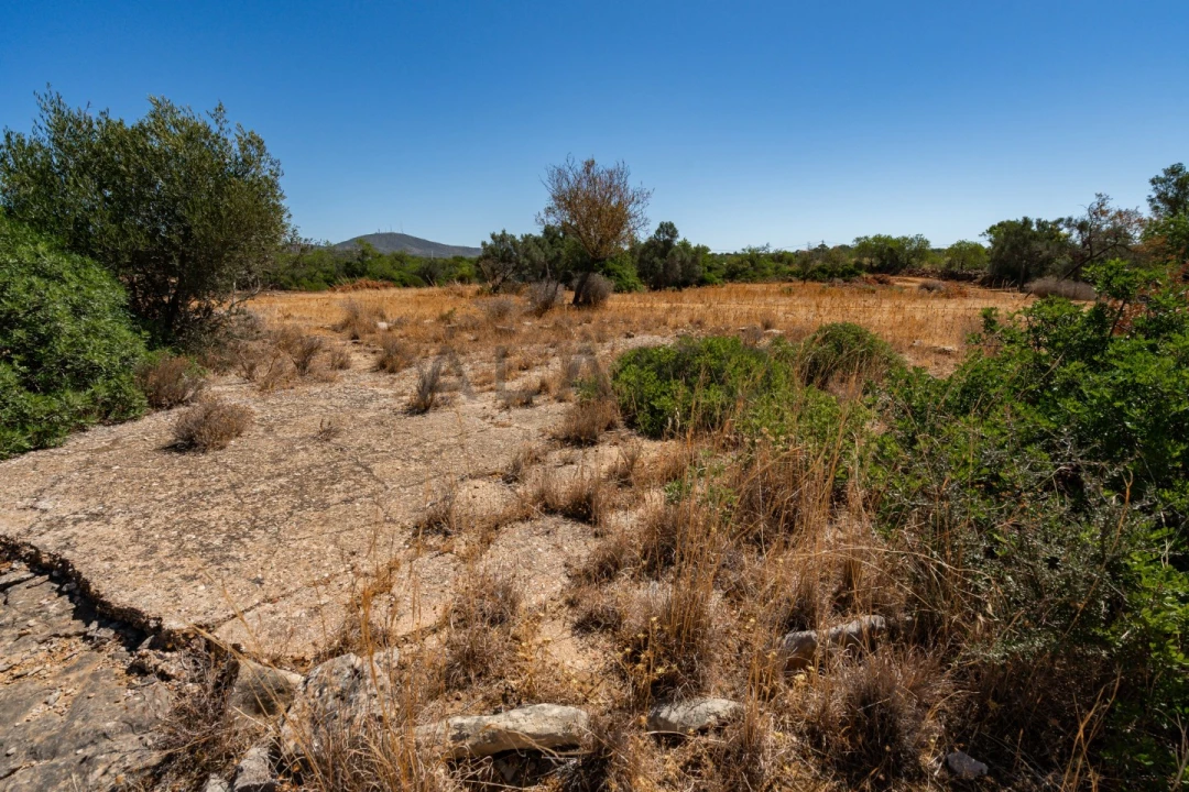 Terreno para Venda em Conceição e Estoi Foto 10