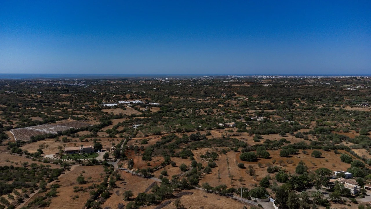 Terreno para Venda em Conceição e Estoi Foto 16