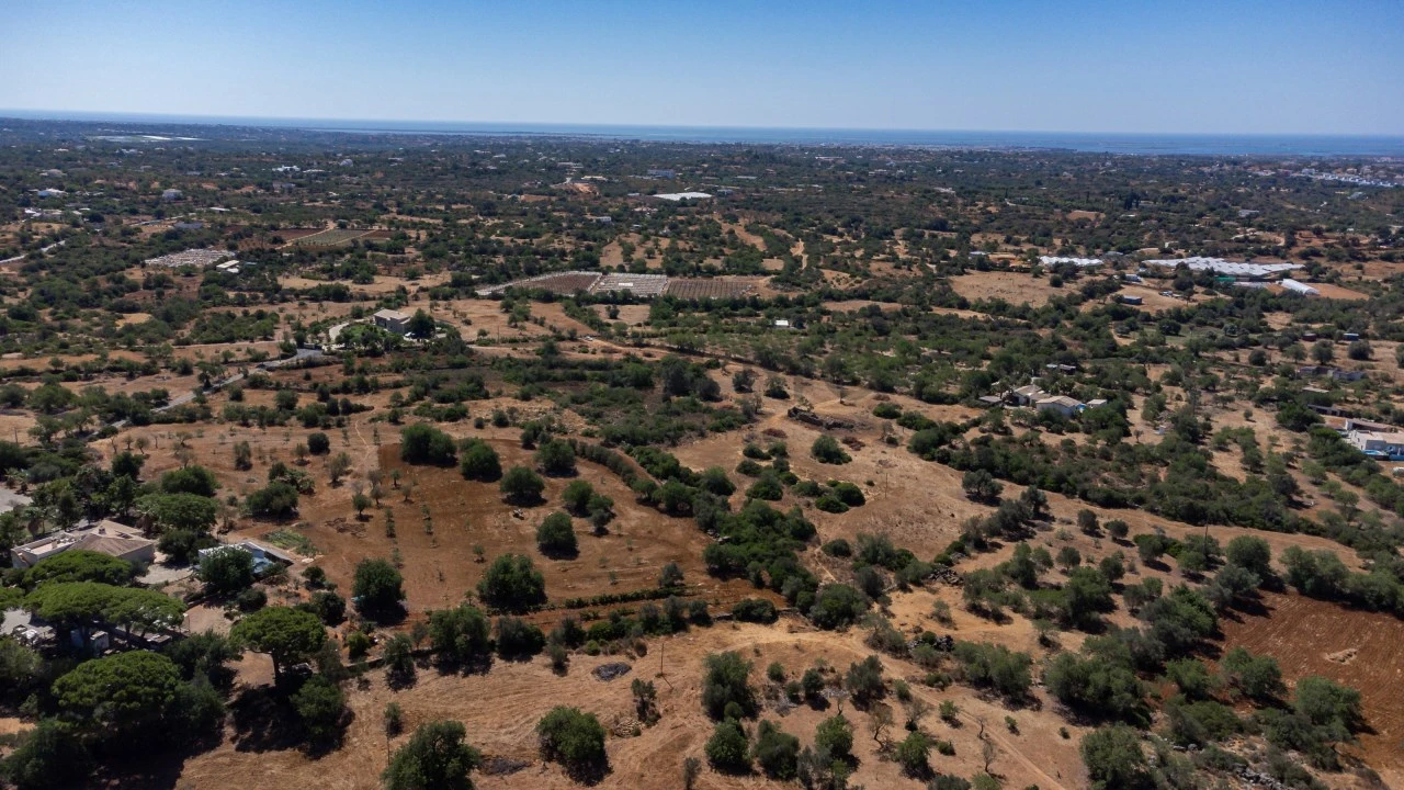 Terreno para Venda em Conceição e Estoi Foto 18