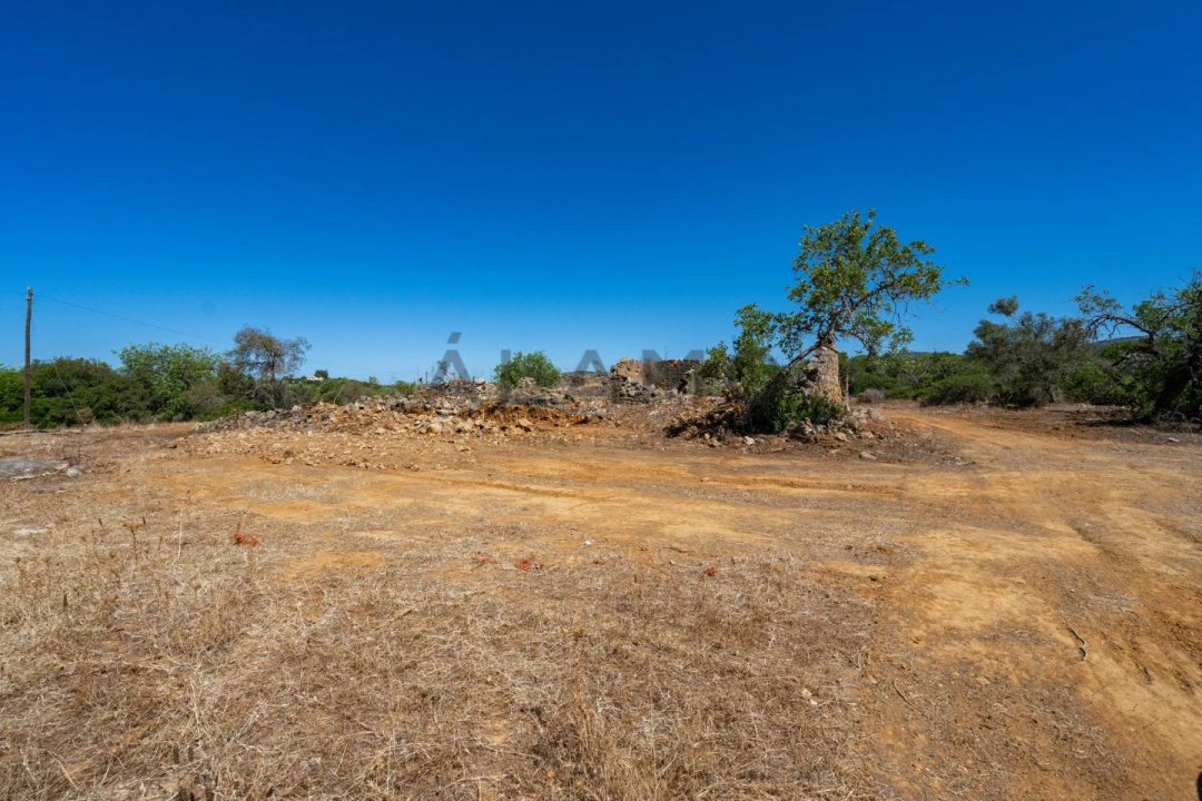 Terreno para Venda em Conceição e Estoi Foto 19