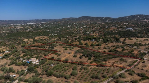 Terreno para Venda em Conceição e Estoi