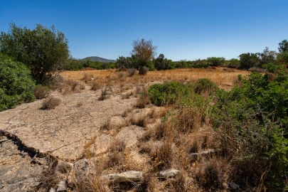 Terreno para Venda em Conceição e Estoi