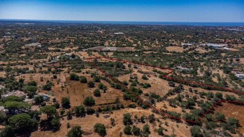 Terreno para Venda em Conceição e Estoi