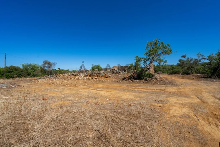 Terreno para Venda em Conceição e Estoi Foto 19