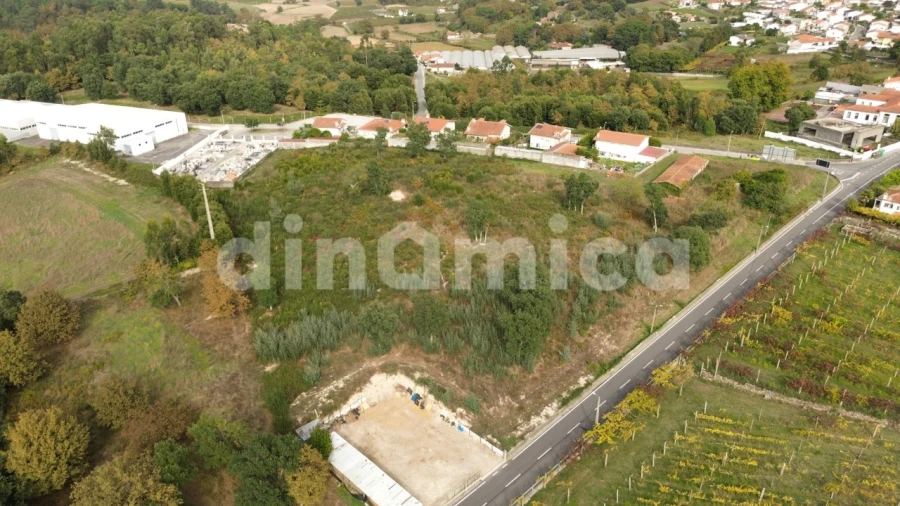 Terreno para Venda em Areias, Sequeirô, Lama e Palmeira Foto 8