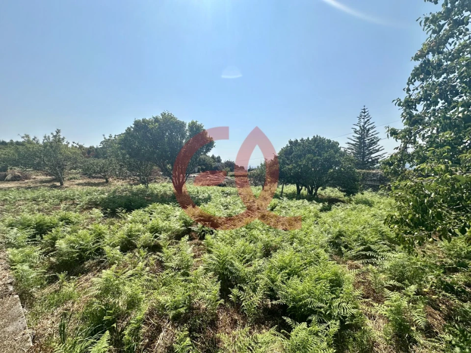 Terreno para Venda em Afife Foto 1