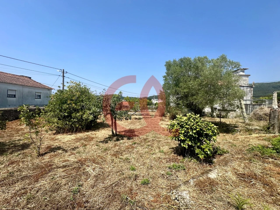 Terreno para Venda em Afife Foto 3