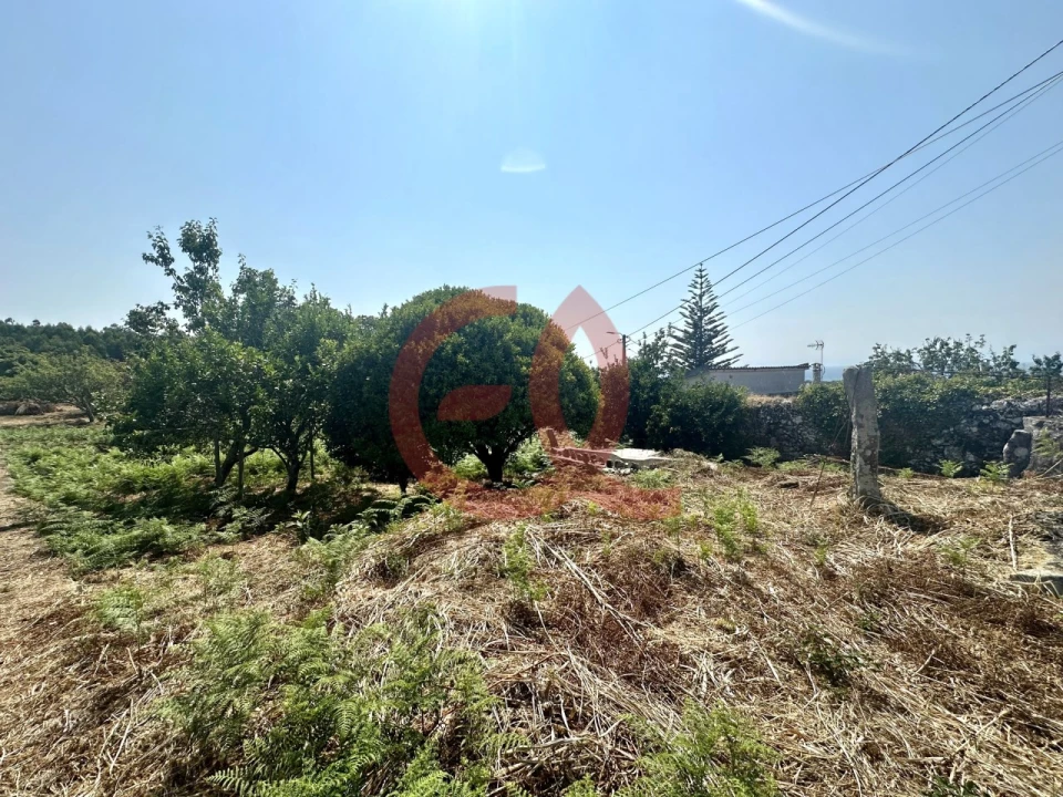 Terreno para Venda em Afife Foto 4