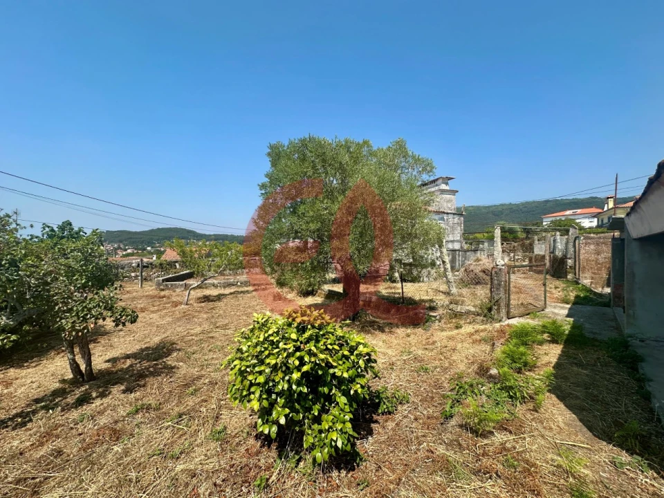 Terreno para Venda em Afife Foto 5