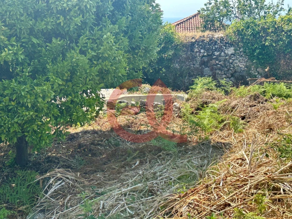 Terreno para Venda em Afife Foto 6