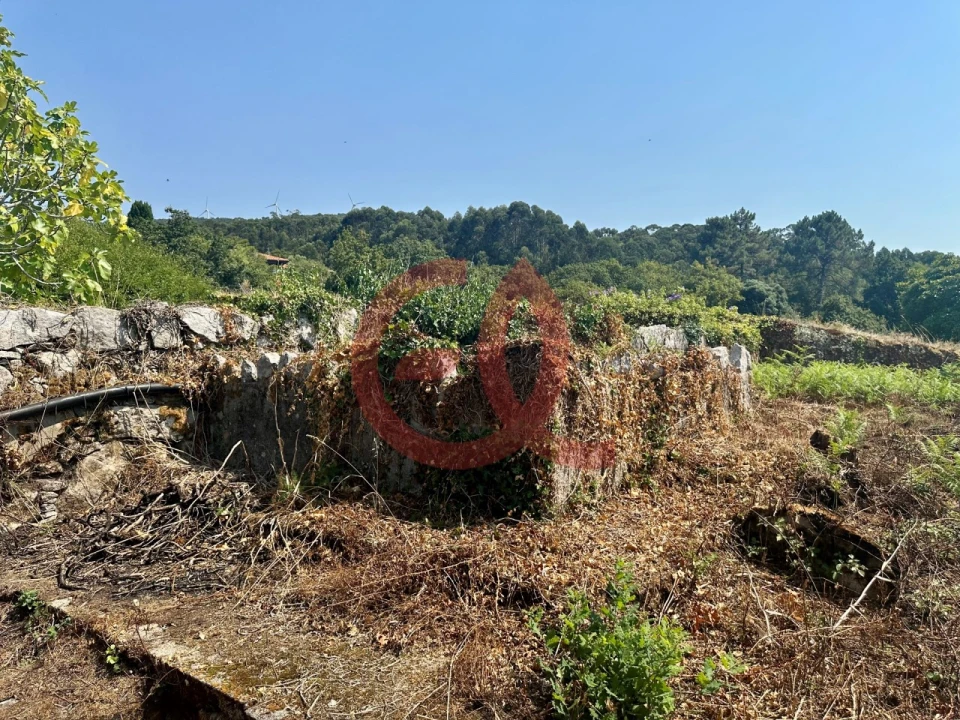 Terreno para Venda em Afife Foto 7