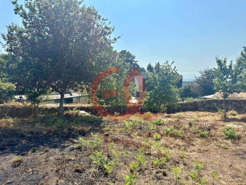 Terreno para Venda em Afife Foto 8