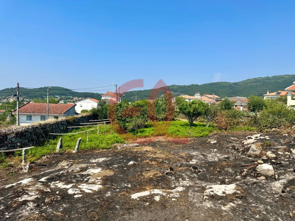 Terreno para Venda em Afife Foto 10