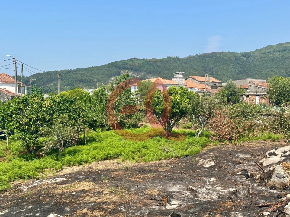 Terreno para Venda em Afife Foto 11