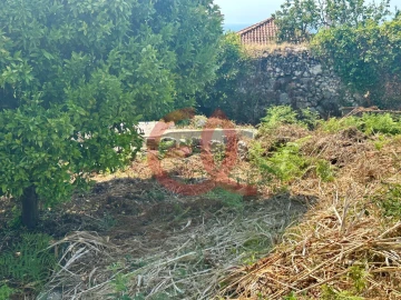 Terreno para Venda em Afife
