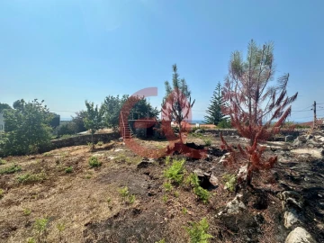 Terreno para Venda em Afife