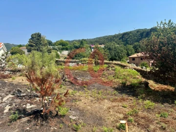 Terreno para Venda em Afife