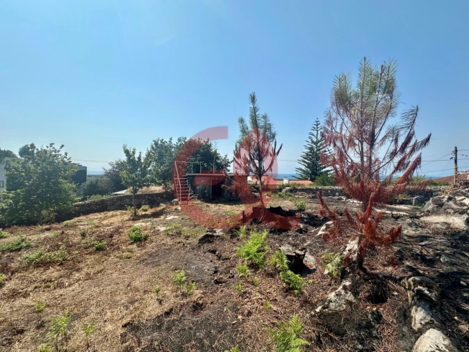 Terreno para Venda em Afife Foto 9