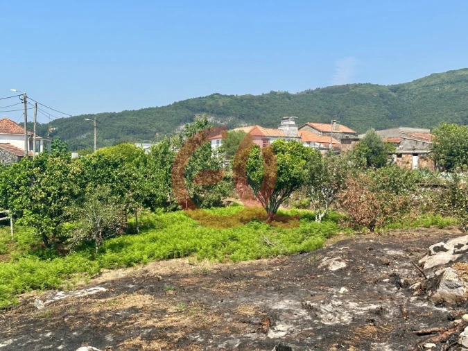 Terreno para Venda em Afife Foto 11