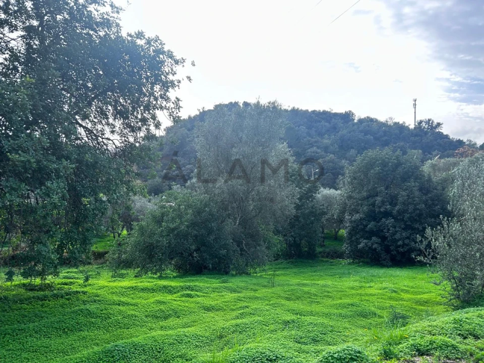 Terreno para Venda em Salir Foto 2