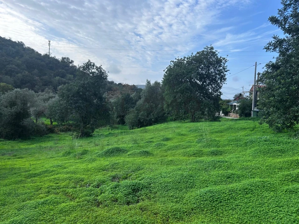 Terreno para Venda em Salir Foto 5