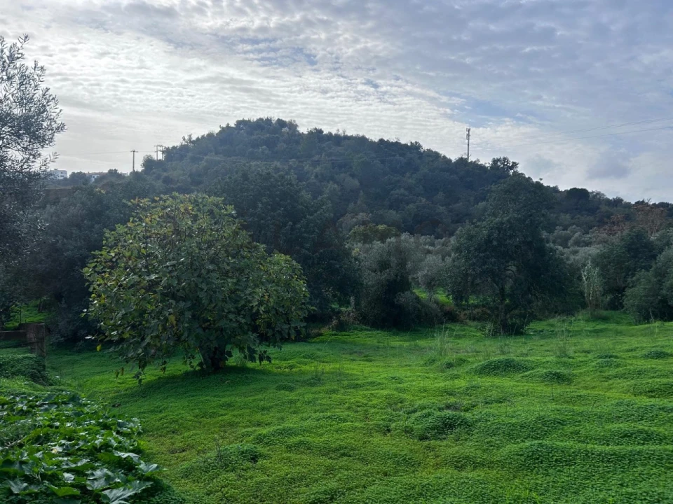 Terreno para Venda em Salir Foto 6