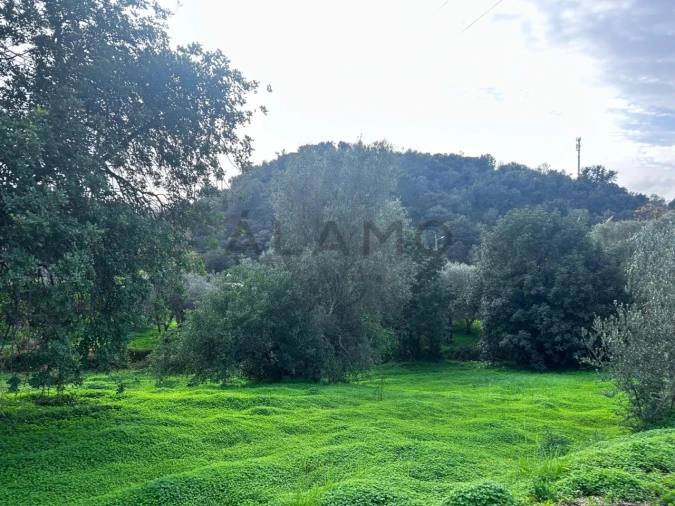Terreno para Venda em Salir Foto 2