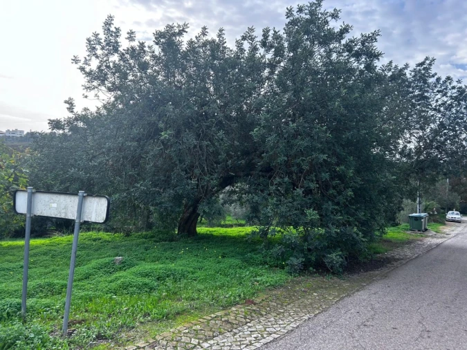 Terreno para Venda em Salir Foto 3