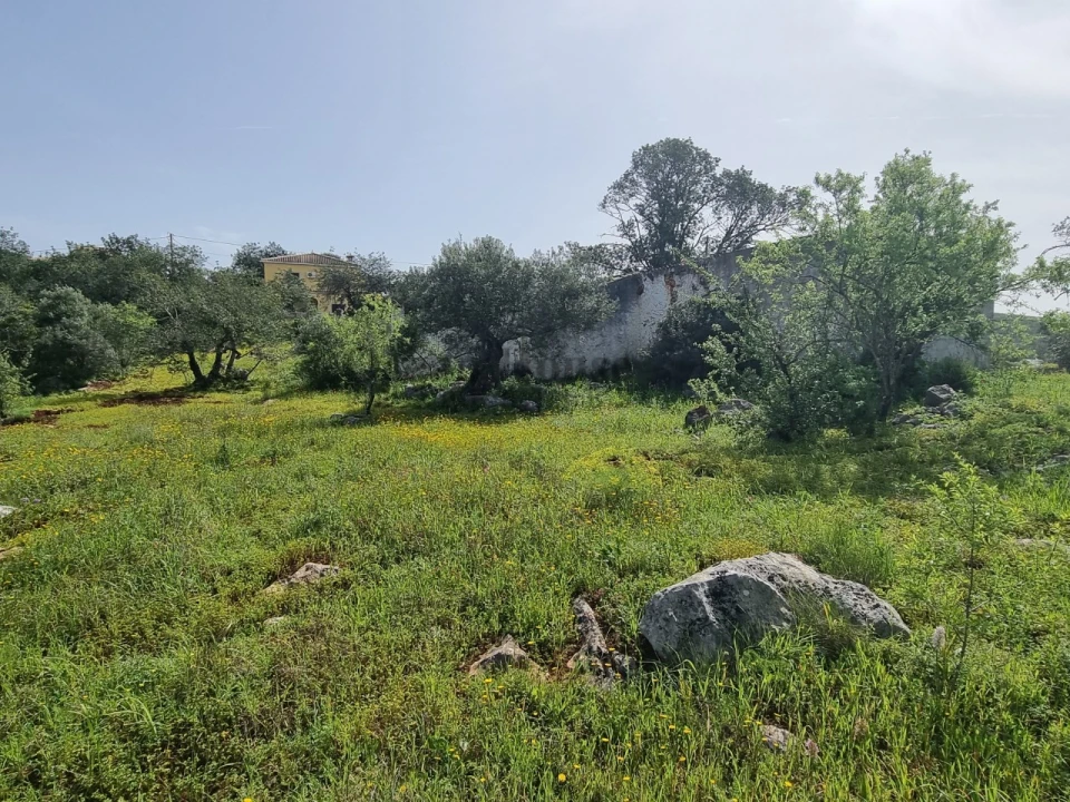 Terreno para Venda em Loule (São Clemente) Foto 8