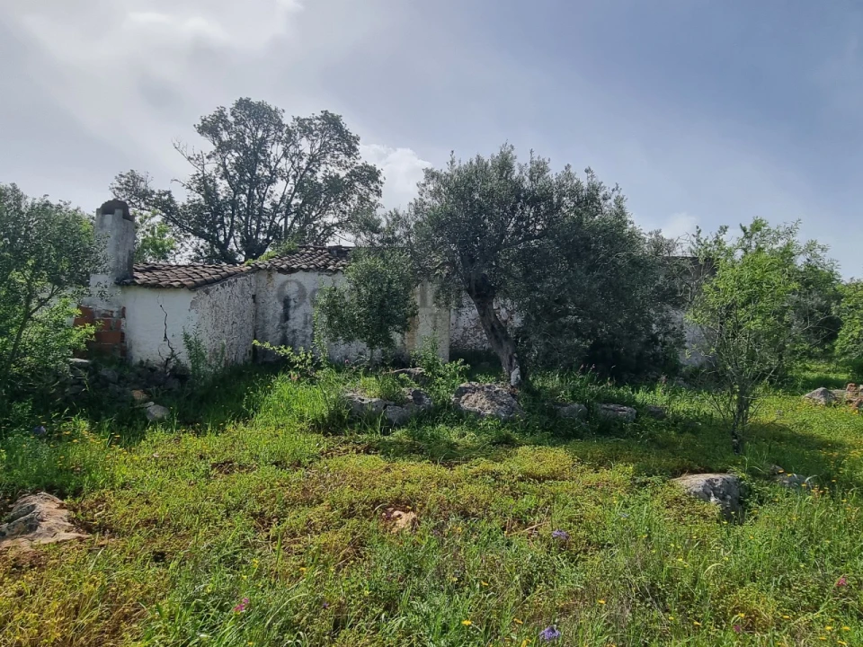 Terreno para Venda em Loule (São Clemente) Foto 9