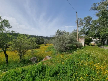 Terreno para Venda em Loule (São Clemente)