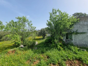 Terreno para Venda em Loule (São Clemente)