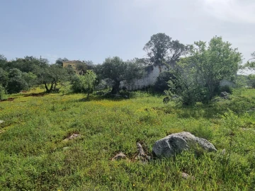 Terreno para Venda em Loule (São Clemente)