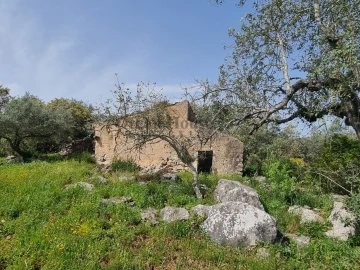Terreno para Venda em Loule (São Clemente)