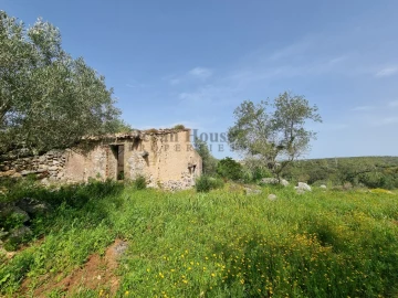 Terreno para Venda em Loule (São Clemente)