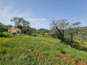 Terreno para Venda em Loule (São Clemente)