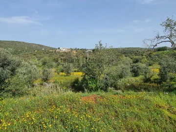 Terreno para Venda em Loule (São Clemente)