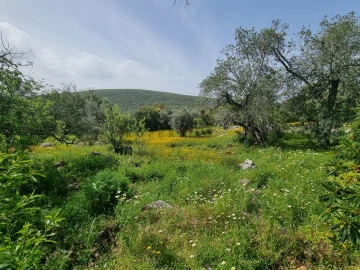 Terreno para Venda em Loule (São Clemente)