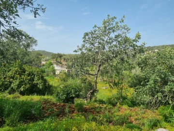 Terreno para Venda em Loule (São Clemente)