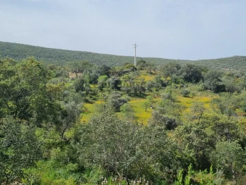 Terreno para Venda em Loule (São Clemente)