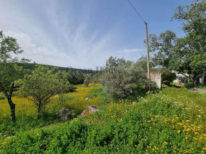 Terreno para Venda em Loule (São Clemente) Foto 2